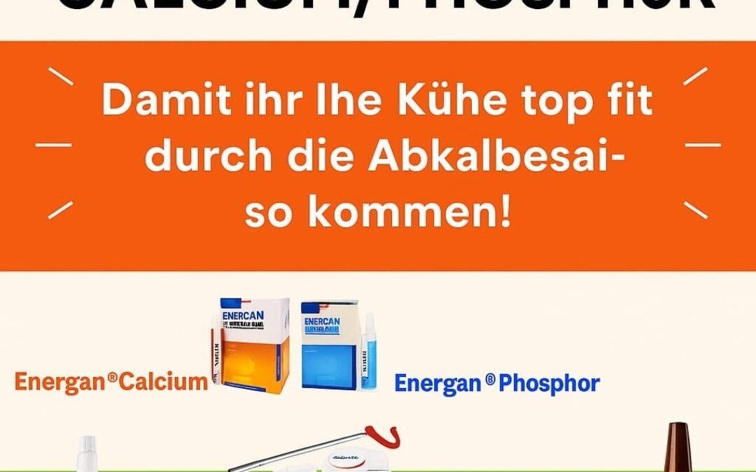 Aktion Abkalbesaison🥳