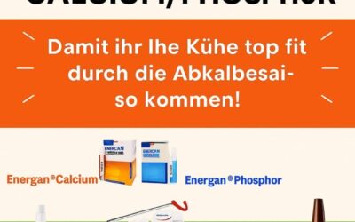 Aktion Abkalbesaison🥳