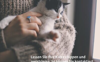 Chip Aktion im November🎉