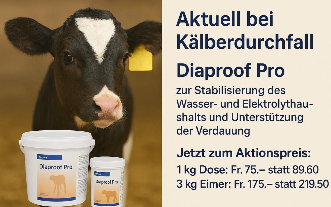 Aktion bis 31.12.2025🥳