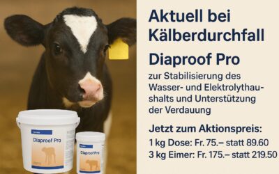 Aktion bis 31.12.2025🥳