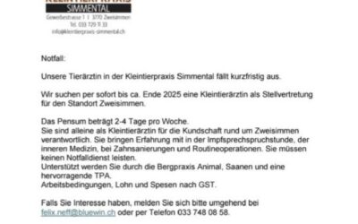 dringen Kleintierarzt/Tierärztin als Aushilfe gesucht