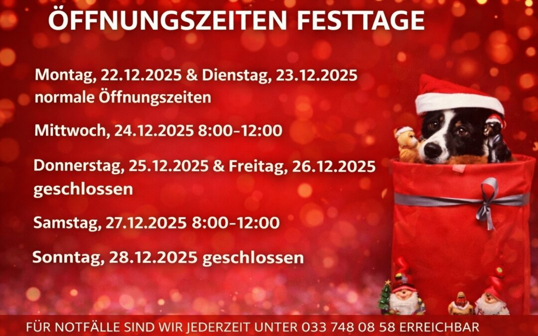 Öffnungszeiten Weihnachten