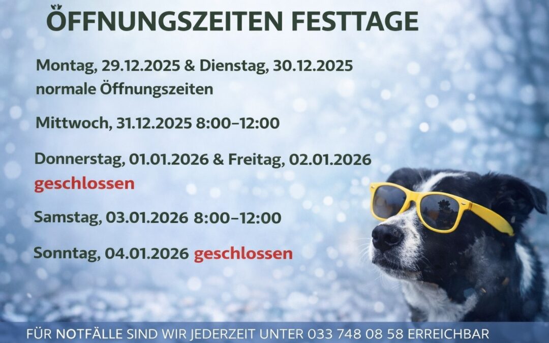 Öffnungszeiten über Neuhjahr!