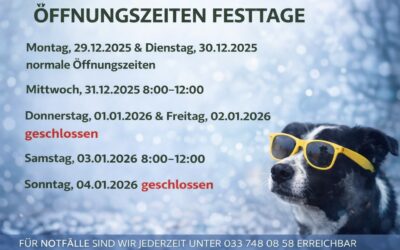 Öffnungszeiten über Neuhjahr!