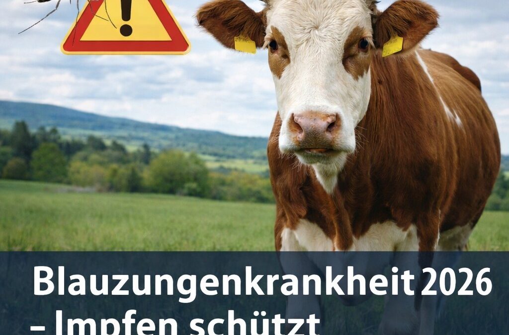 Anmeldefrist für Blauzungenimpfung