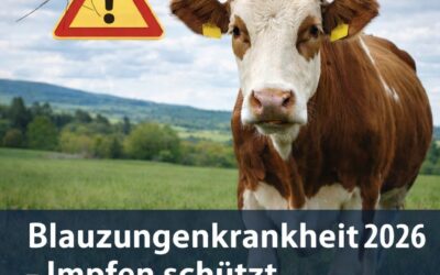 Anmeldefrist für Blauzungenimpfung