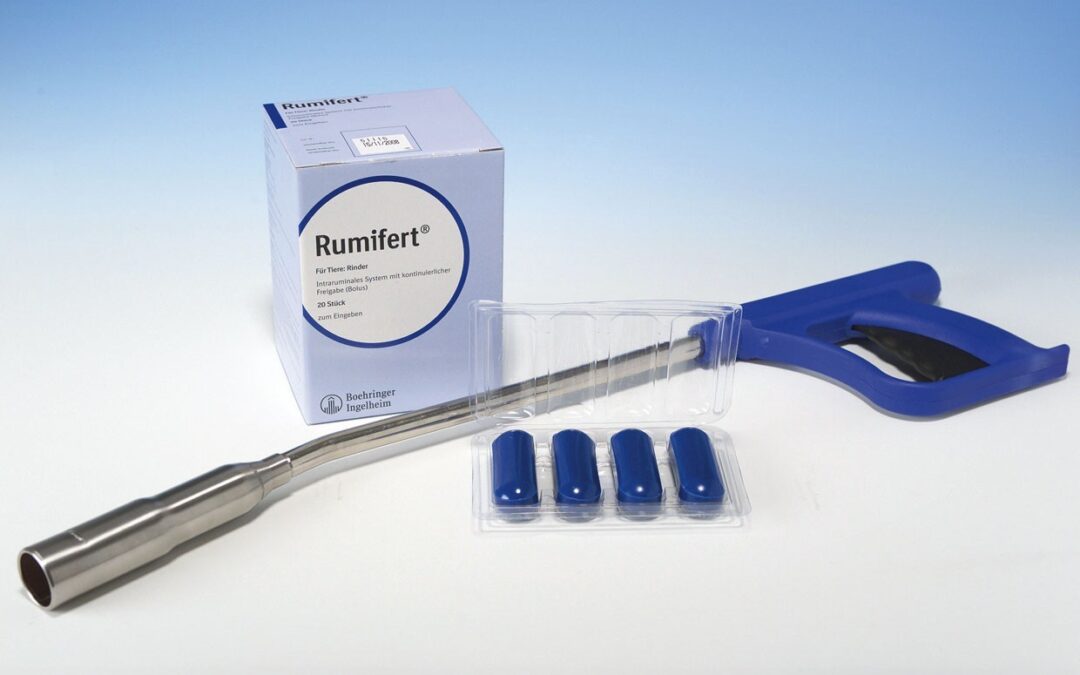 Aktion Rumifert